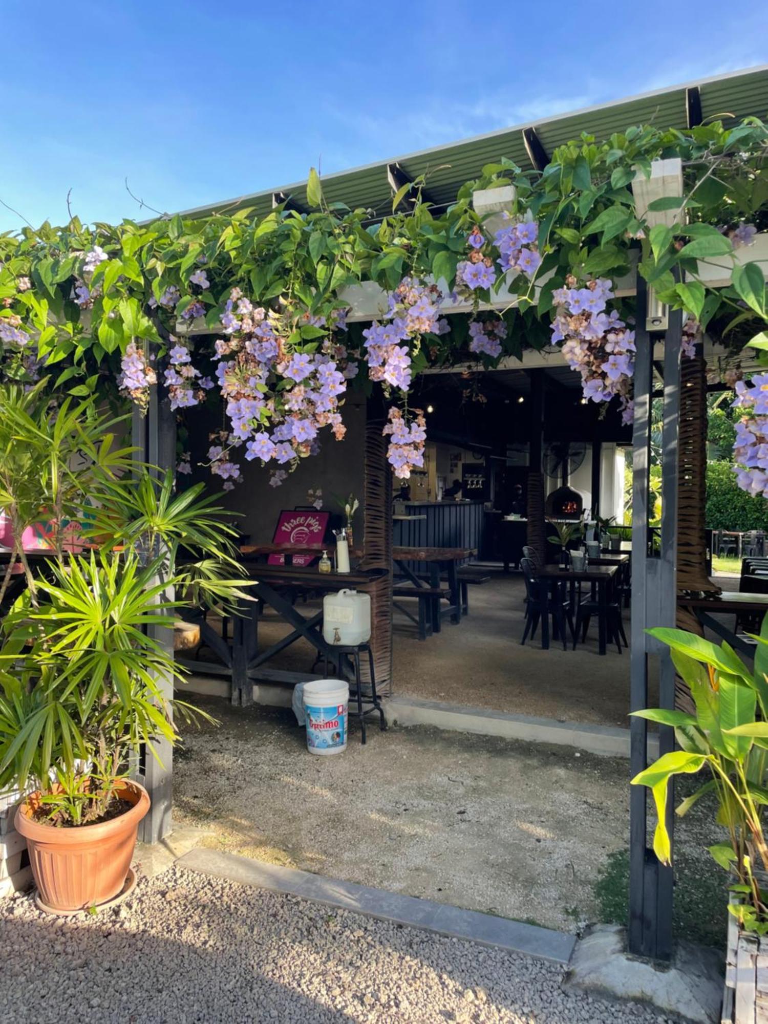 Nasama Resort Port Vila Buitenkant foto